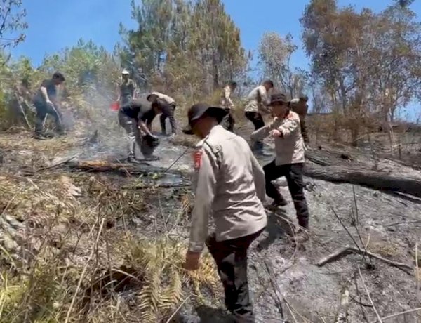 Karhutla Hanguskan 5 Hektare Lahan di Mamasa, Polisi dan Damkar Berjibaku Padamkan Api